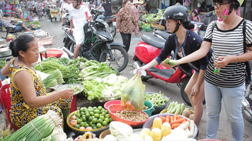 Sự thật rau xanh khan hàng, tăng vọt giá 1