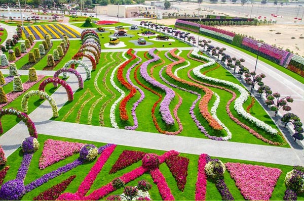 Ngắm nhìn vẻ rực rỡ của vườn hoa tự nhiên lớn nhất thế giới 9