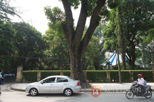 Hàng nghìn người xếp hàng viếng Đại tướng Võ Nguyên Giáp trong ngày đầu tiên  42