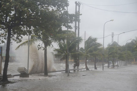Đường phố Hạ Long tan hoang sau khi siêu bão Haiyan đổ bộ 9