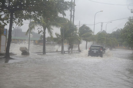 Đường phố Hạ Long tan hoang sau khi siêu bão Haiyan đổ bộ 10