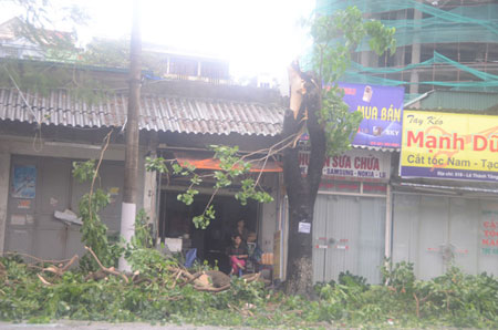 Đường phố Hạ Long tan hoang sau khi siêu bão Haiyan đổ bộ 13