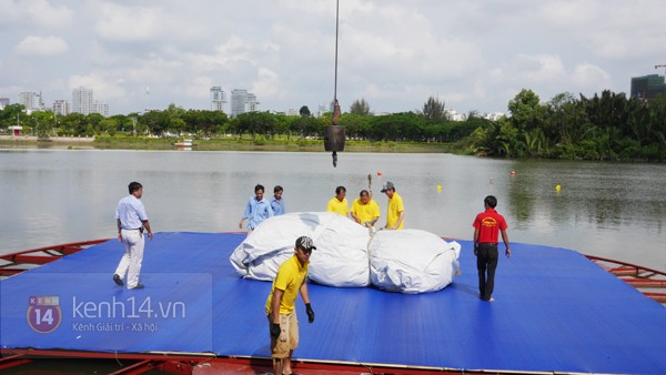 Những hình ảnh đầu tiên của chú vịt vàng khổng lồ tại Việt Nam 1