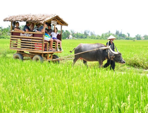 3 tour du lịch dân dã của Việt Nam 