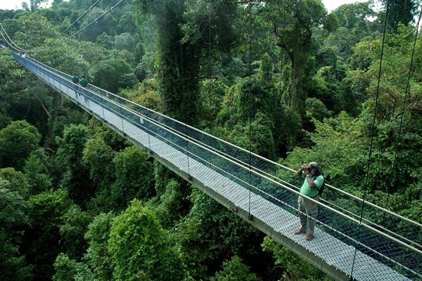 10 trải nghiệm du lịch miễn phí ở Singapore 13