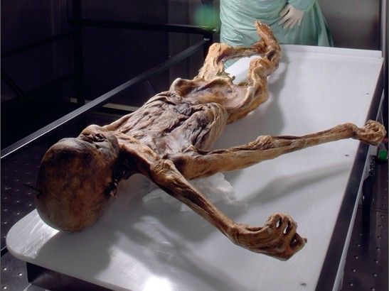 Những điều ít biết về xác ướp người băng Otzi 1