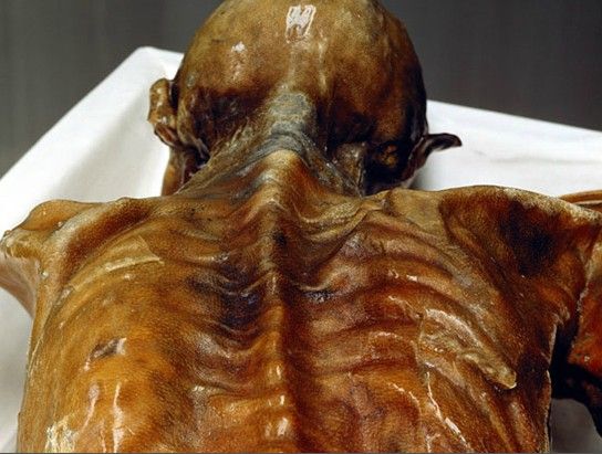 Những điều ít biết về xác ướp người băng Otzi 7