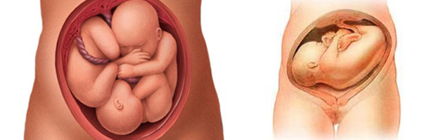 Tuần thai thứ 31: Bé năng động hơn rất nhiều 5