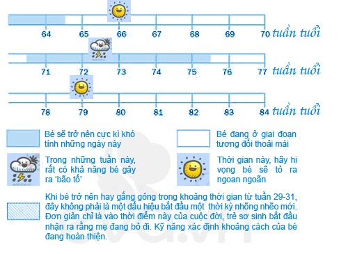 Cực hay: Bảng dự báo 