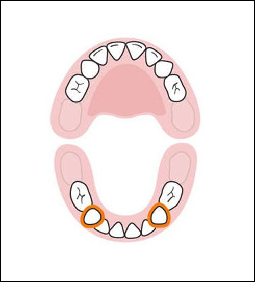 Thứ tự mọc răng sữa của bé mẹ cần biết 8