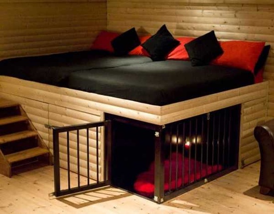 7 cách làm giường home-made độc đáo cho thú cưng 15