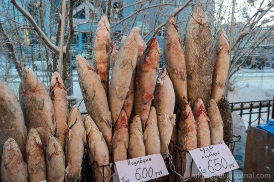 Ăn cá sống đông lạnh ở Nga 1