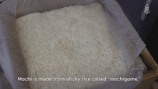 bột gạo nếp