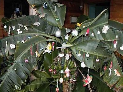 Gi&aacute;ng sinh: Những phong tục kỳ lạ đ&oacute;n ng&agrave;y lễ n&agrave;y 6