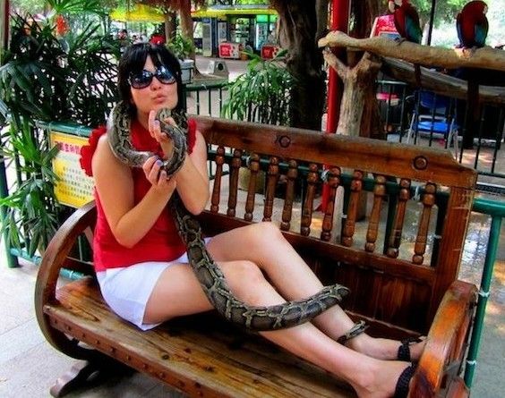 Người đẹp thi chụp ảnh với rắn 5
