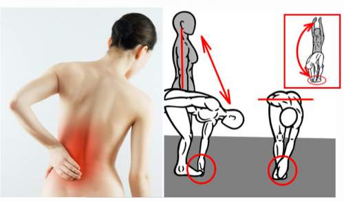 bài tập gây đau lưng bài tập gây đau lưng