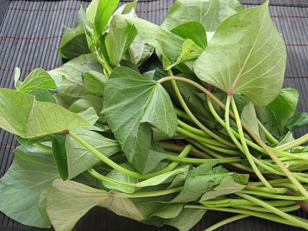 8 thực phẩm tự nhi&ecirc;n gi&uacute;p lợi sữa sau sinh 5