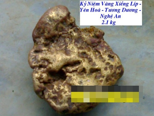 Khốn khổ vì nhặt được cục vàng 2,1kg 1 Khốn khổ vì nhặt được cục vàng 2,1kg 1