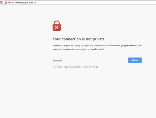 Vụ Google.com.vn lỗi: VNNIC khẳng định DNS quốc gia không bị tấn công 2