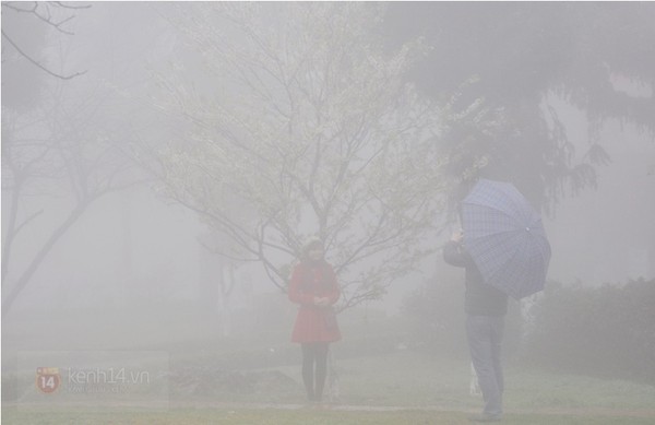 Chùm ảnh: Sa Pa mờ ảo trong màn sương mù dày đặc 14