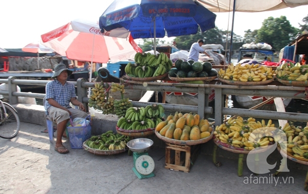 trái cây rớt giá do trúng mùa_9