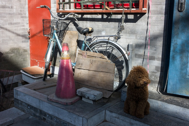 Số phận những chiếc xe đạp cuối cùng ở Bắc Kinh_17