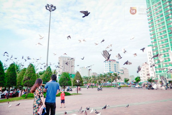 “Công viên chim bồ câu” bên bờ biển Đà Nẵng_1