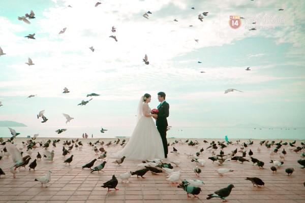 “Công viên chim bồ câu” bên bờ biển Đà Nẵng_10