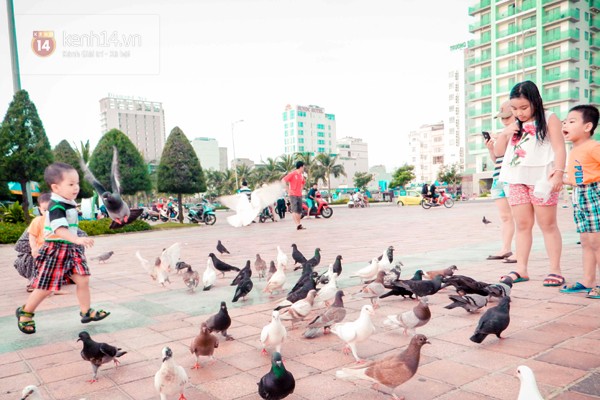 “Công viên chim bồ câu” bên bờ biển Đà Nẵng_3