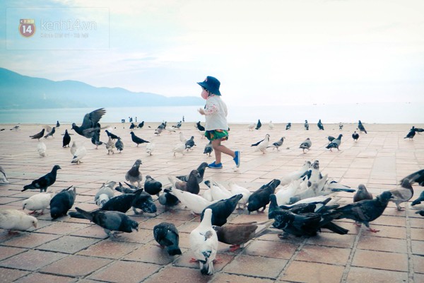 “Công viên chim bồ câu” bên bờ biển Đà Nẵng_6
