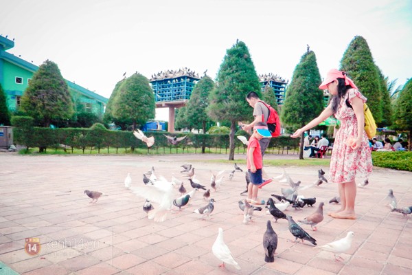 “Công viên chim bồ câu” bên bờ biển Đà Nẵng_7
