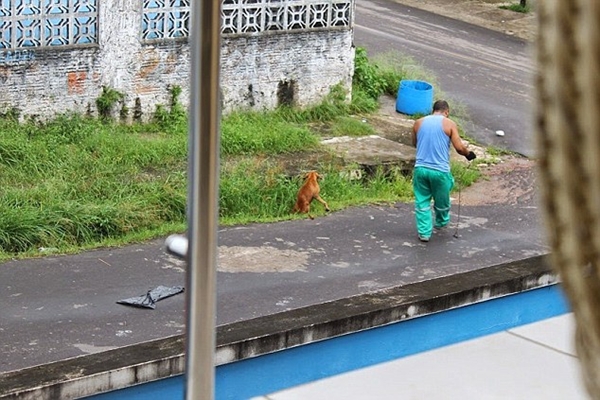 Người đàn ông ném chú chó gãy chân vào máy nghiền rác đến chết gây phẫn nộ_1