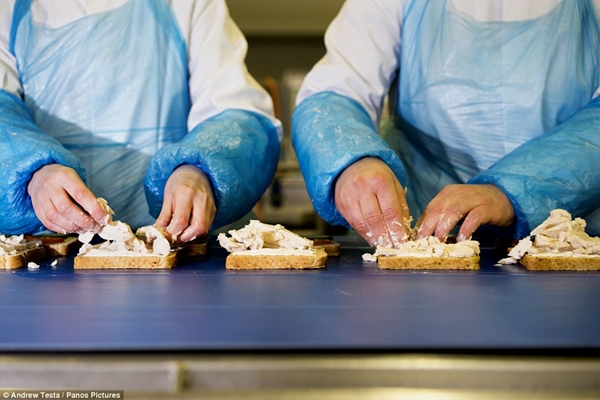 Cận cảnh nhà máy sản xuất sandwich lớn nhất nước Anh_6