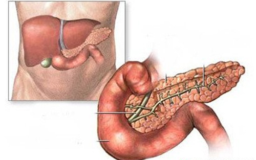 Phát hiện mới đem lại hy vọng cho bệnh nhân ung thư tuyến tụy 1