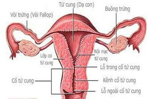 Những thói xấu cần tránh để tử cung khỏe mạnh 1