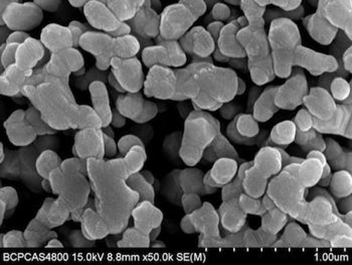 Hạt nano bạc ngăn lây nhiễm HIV 1