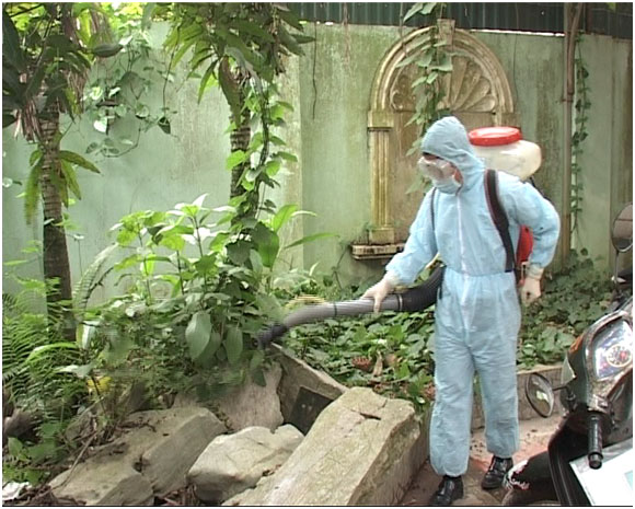 Khẩn trương phòng chống dịch bệnh cúm gia cầm: nhiệm vụ không của riêng ai 1 Khẩn trương phòng chống dịch bệnh cúm gia cầm: nhiệm vụ không của riêng ai 1