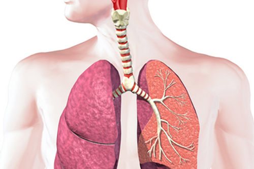 Phát hiện ung thư phổi bằng phương pháp thử nghiệm hơi thở 1