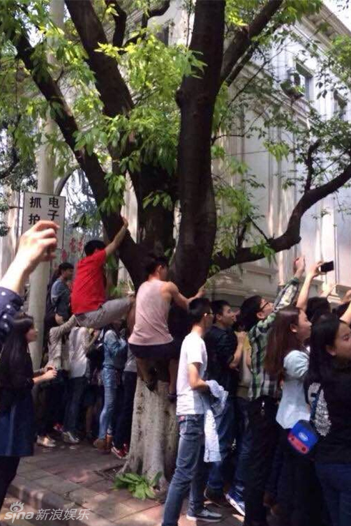 Fan leo cây, trèo nóc nhà chụp hình Huỳnh Hiểu Minh, Angelababy 5