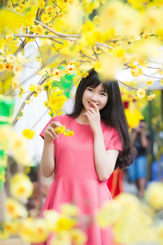 Hot girl S&agrave;i Th&agrave;nh đẹp rạng rỡ dưới sắc mai v&agrave;ng 2