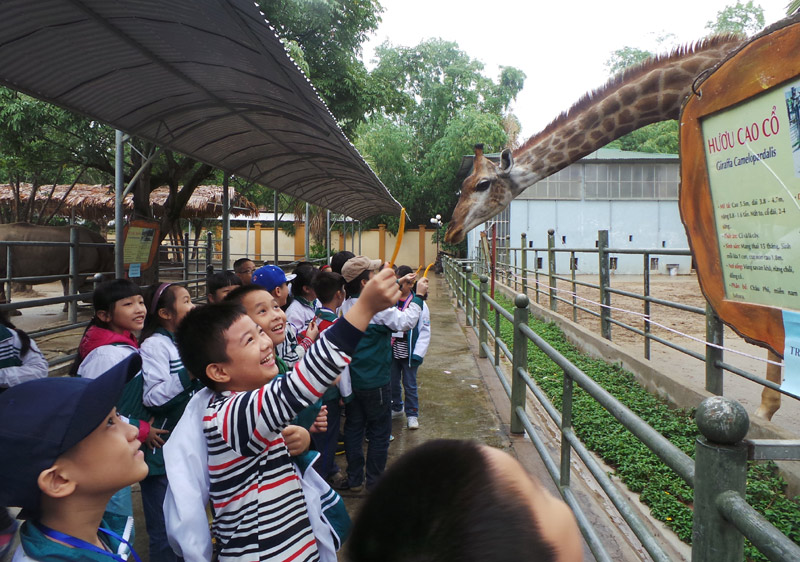 Lo con quên chữ ngày Tết, bố mẹ giao bài làm thêm 1