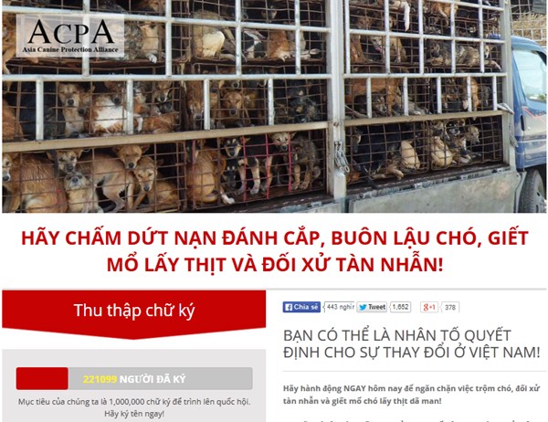 chiến dịch bảo vệ chó