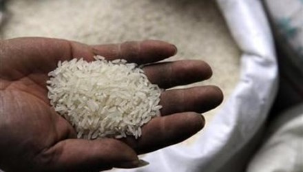gạo nhựa Trung Quốc