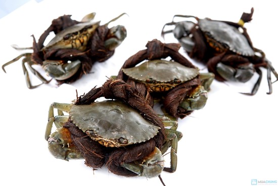Tips to quickly and easily clean crabs and snails 1