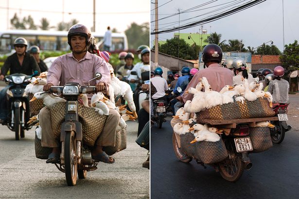 'Siêu xe' chở vịt ở Việt Nam lên báo nước ngoài 1
