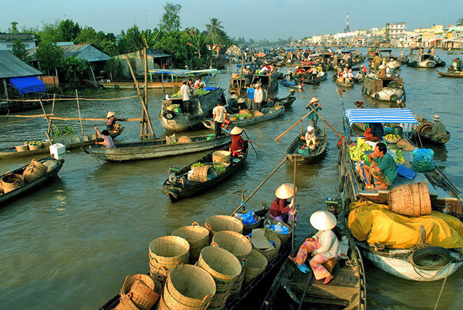 Điểm danh 4 vựa trái cây lớn nhất Nam Bộ 8