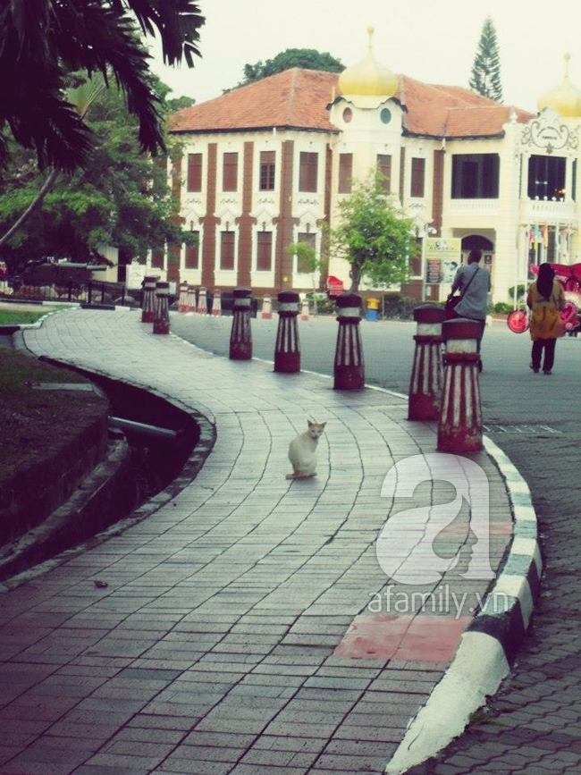 Kỳ trăng mật ngọt ngào tại Malacca thần tiên với giá 15 triệu đồng 22