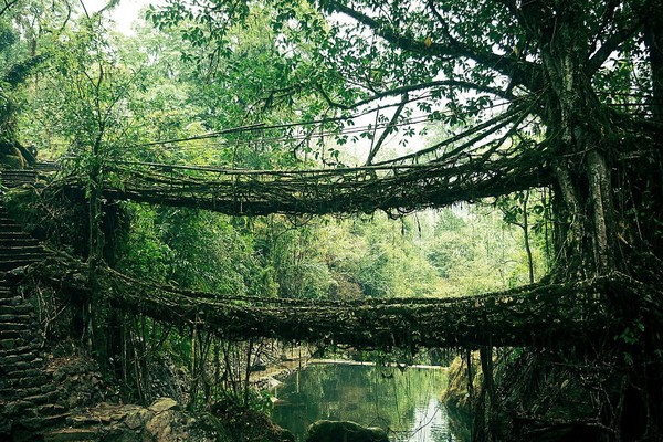 Chiêm ngưỡng 20 cây cầu đẹp như trong truyện cổ tích 11