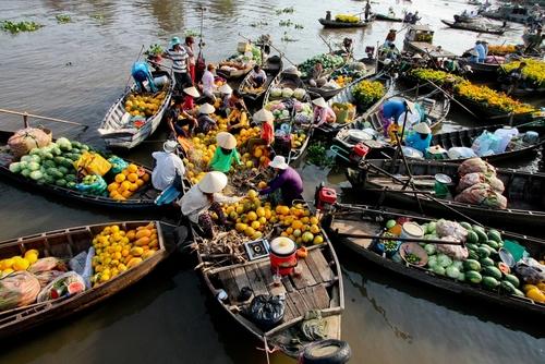 Bâng khuâng chợ nổi Cái Bè 2