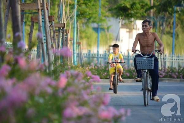 Sự sống hồi sinh bên dòng kênh chết 8